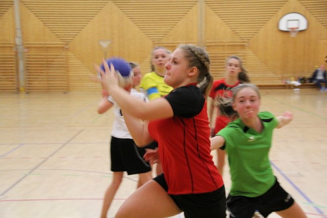 2016_01_16 Landesliga Jugend 15